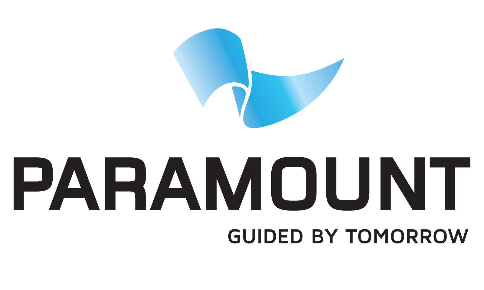 website logo
